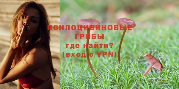 кокаин Гусь-Хрустальный