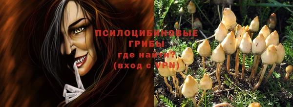 трава Гусев